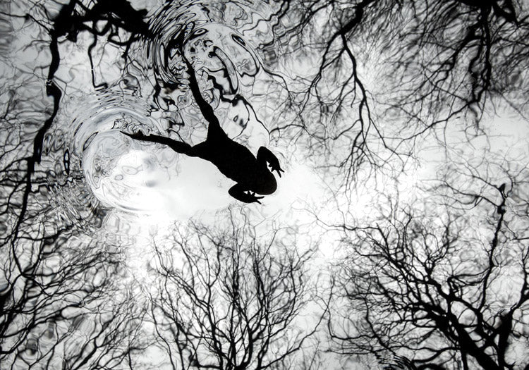 Why did a 14-Year-Old Camera Win the 2026 British Wildlife Photography Awards? | Scent Lab 33