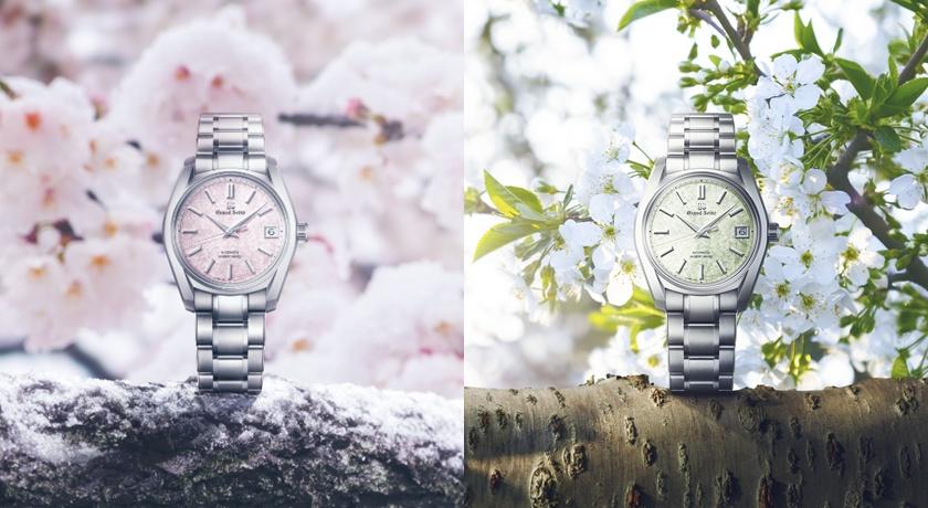 Is the Grand Seiko "Hanami" Collection the Ultimate Accessory for Spring 2026? | Scent Lab 33