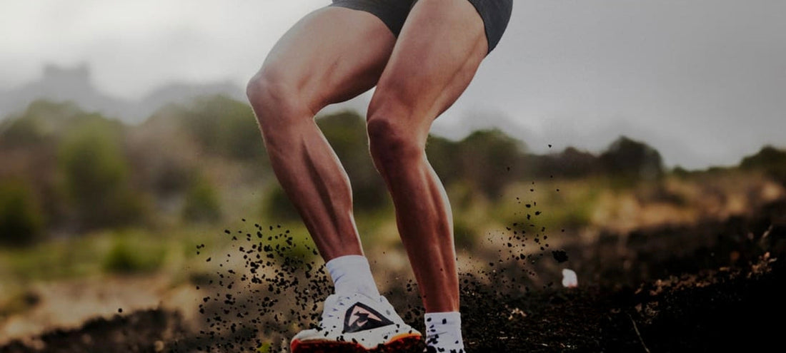 The History of Nike: From Blue Ribbon Sports to Global Sports Empire