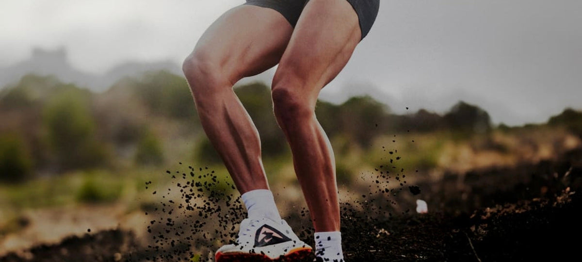 The History of Nike: From Blue Ribbon Sports to Global Sports Empire