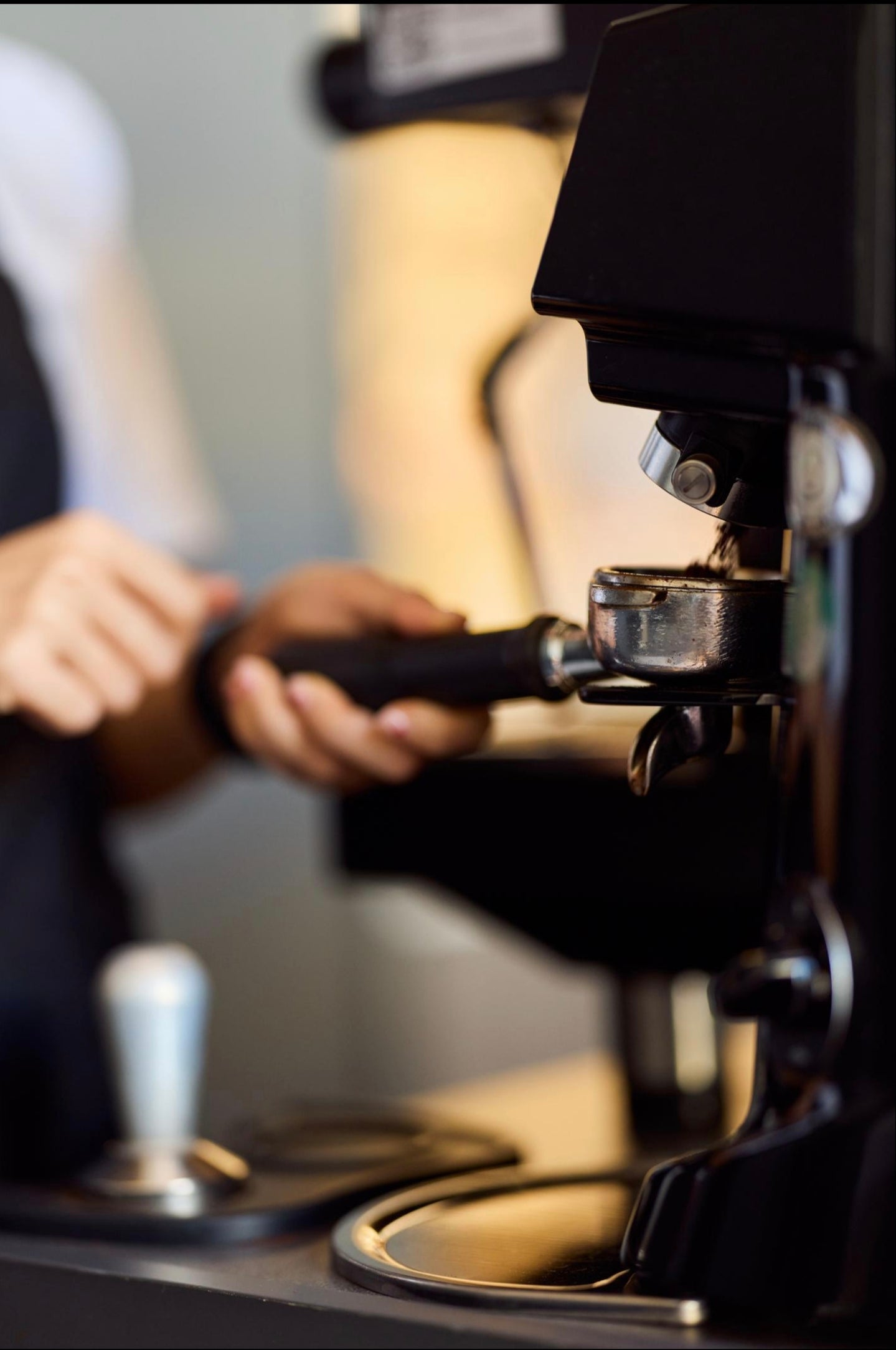 The World's Most Expensive Coffee Beans: Inside the Luxury Coffee Culture of 2026