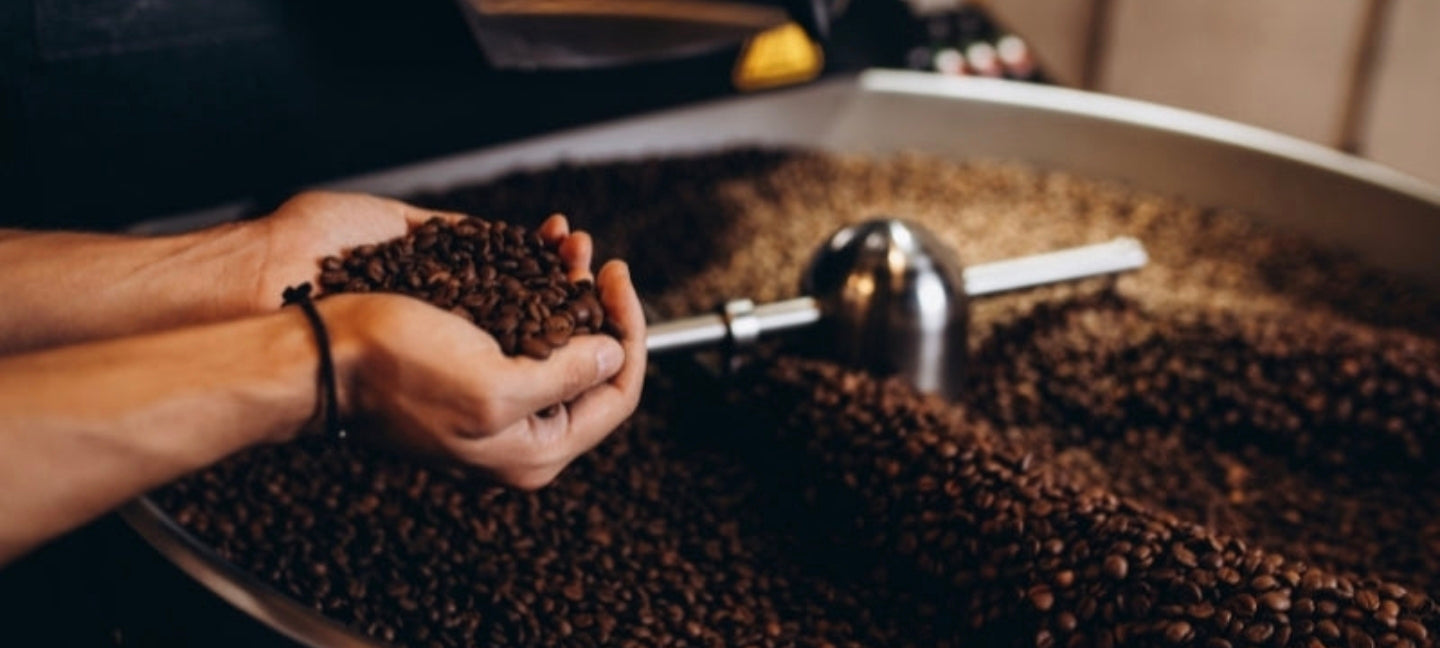 The Global Rise of Specialty Coffee: How Premium Coffee Culture Took Over the World