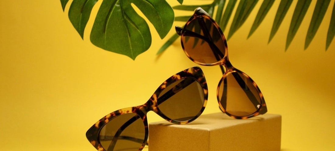 Oliver Peoples: The Luxury Eyewear Brand That Defines Hollywood Optical Style