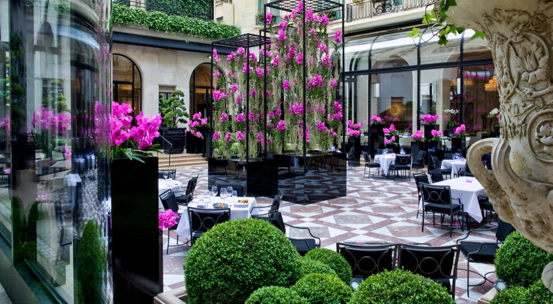 Aman, Rosewood, Four Seasons, Mandarin Oriental and Peninsula: The World's Most Prestigious Luxury Hotel Brands