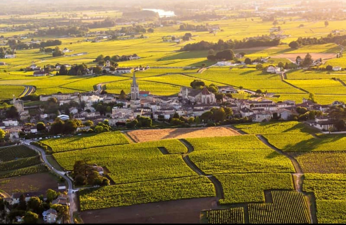 Petrus, Château Lafite Rothschild, Château Margaux and Romanée-Conti: Icons of the Global Fine Wine Market