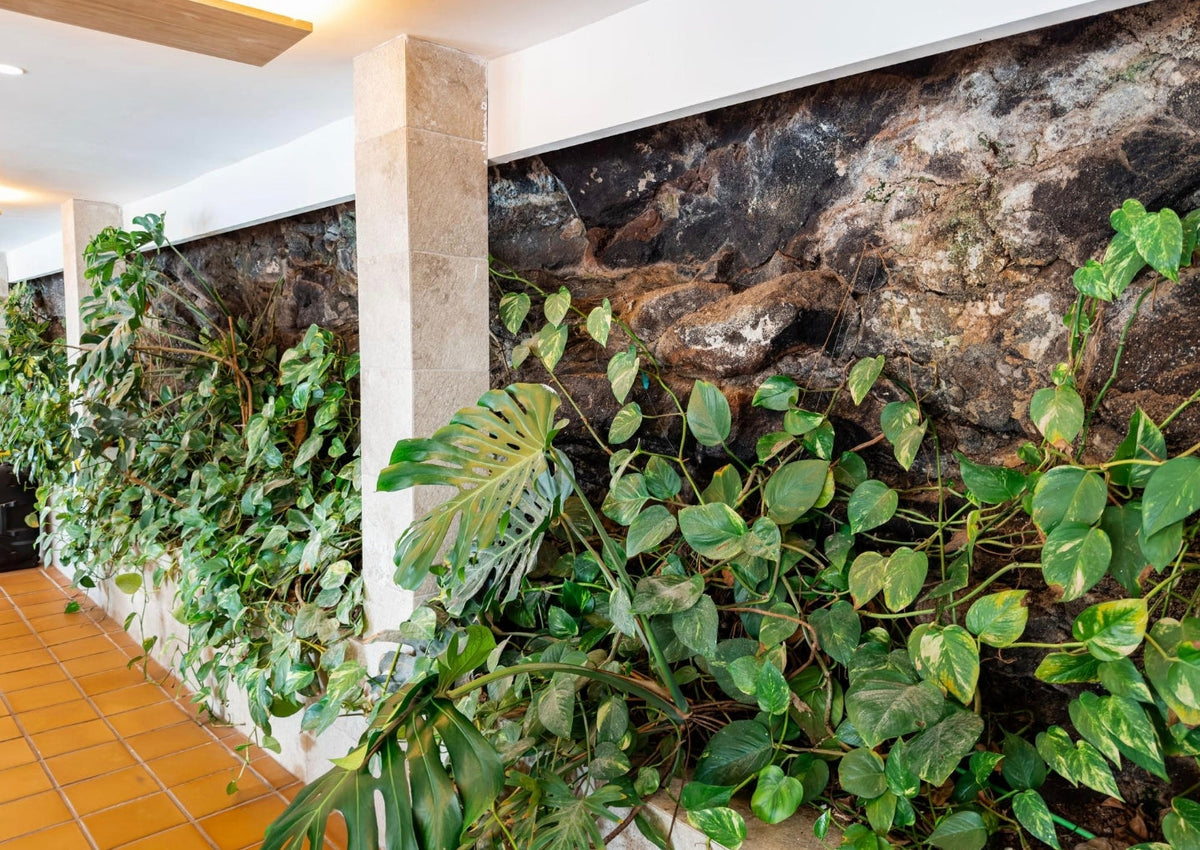 Biophilic Design 2026: Smart Vertical Garden Walls Transform Modern Homes