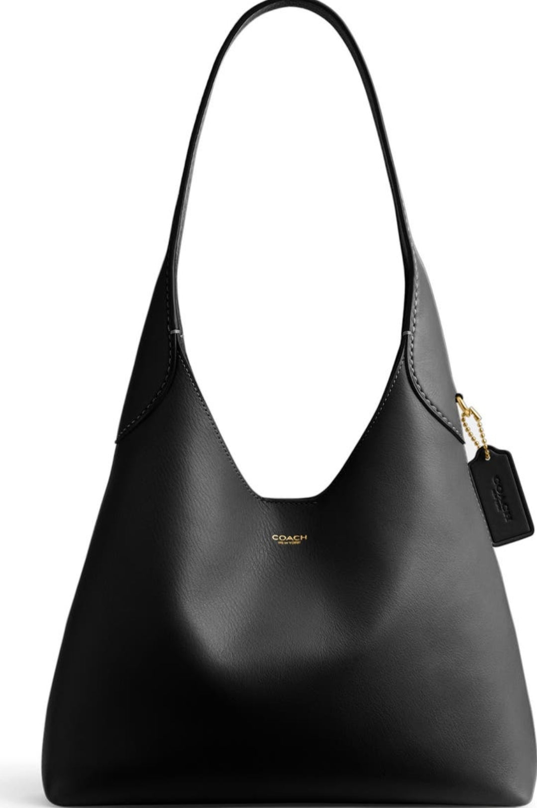 Coach Brooklyn Bag & Silly Little Pouch 2026: The Gen Z Luxury Trend