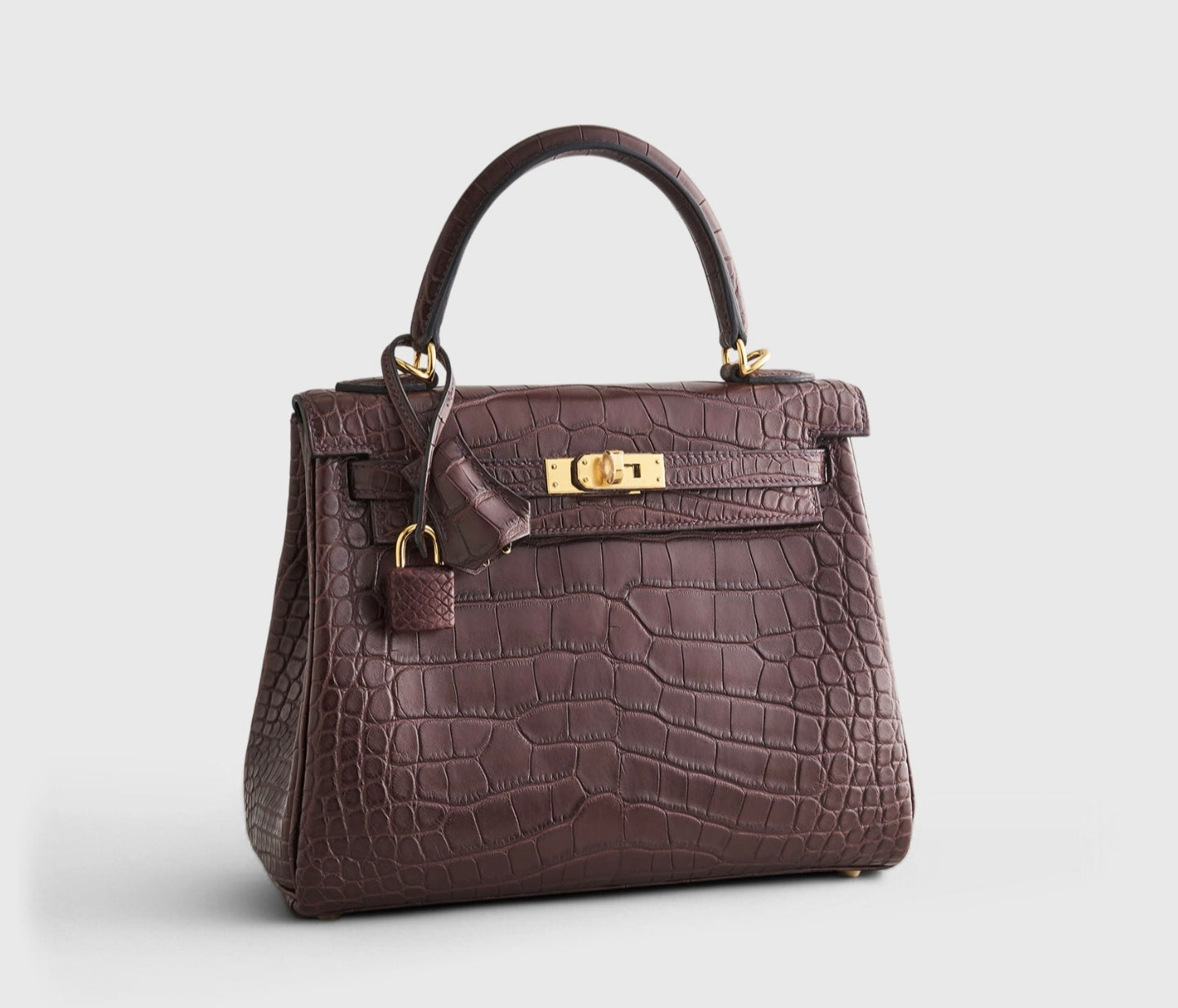 Hermès Kelly Elan 2026 Matte Niloticus Crocodile Rouge Sellier: Paris Flagship Drop and Collector Market Analysis