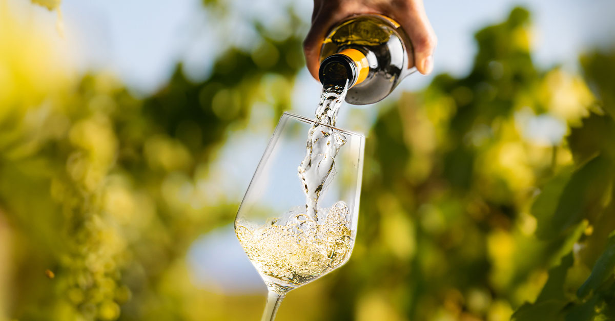 Which white wines under $50 offer the most "Gilded Aura" in 2026? | Scent Lab 33