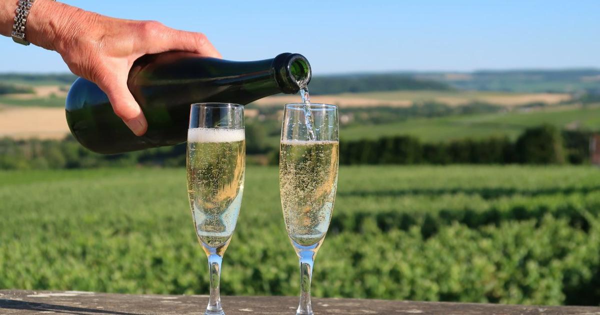 Grower Champagne the 2026 Status Symbol over Big Brands? | Scent Lab 33