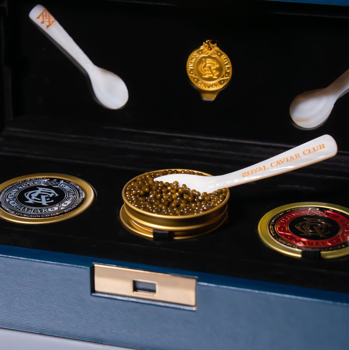 Royal Caviar Club's new Taipei flagship the ultimate 2026 foodie destination? | Scent Lab 33